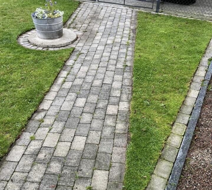 Klippt häck längs väg