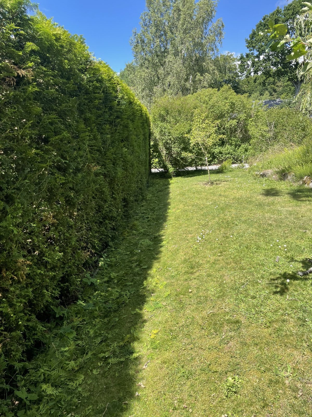 Kantskärning runt rabatt